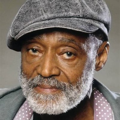 Melvin Van Peebles.jpeg